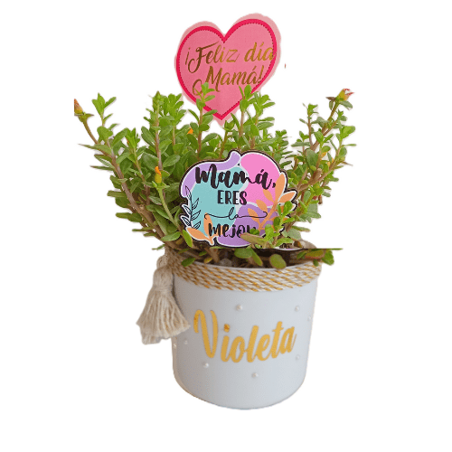 plantita personalizada-min Maceta Personalizada con Mensaje
